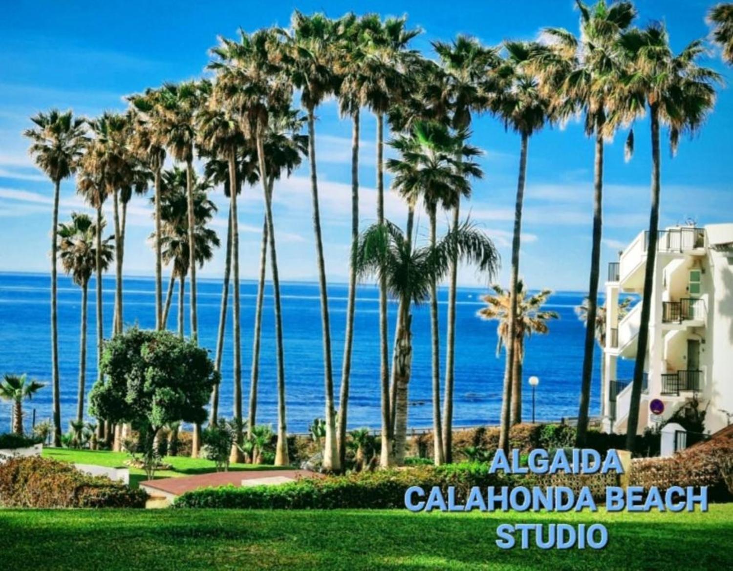 Sitio de Calahonda Nuevo! Algaida Calahonda Beach Studio מראה חיצוני תמונה